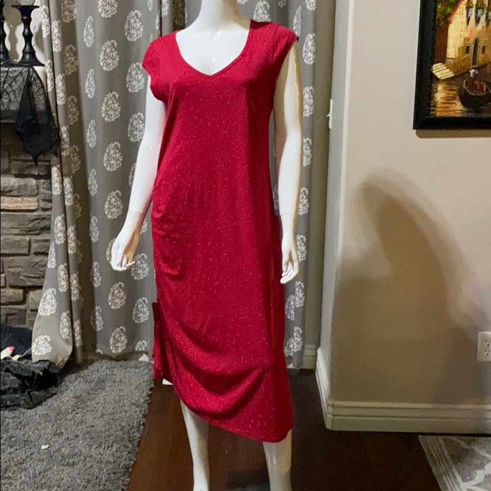 Toad & Co dress.